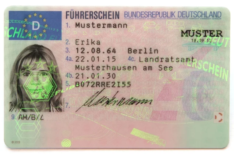 Hamburg driving license