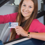 Niedersachsen driving licences