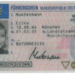driving license with No Test Needed